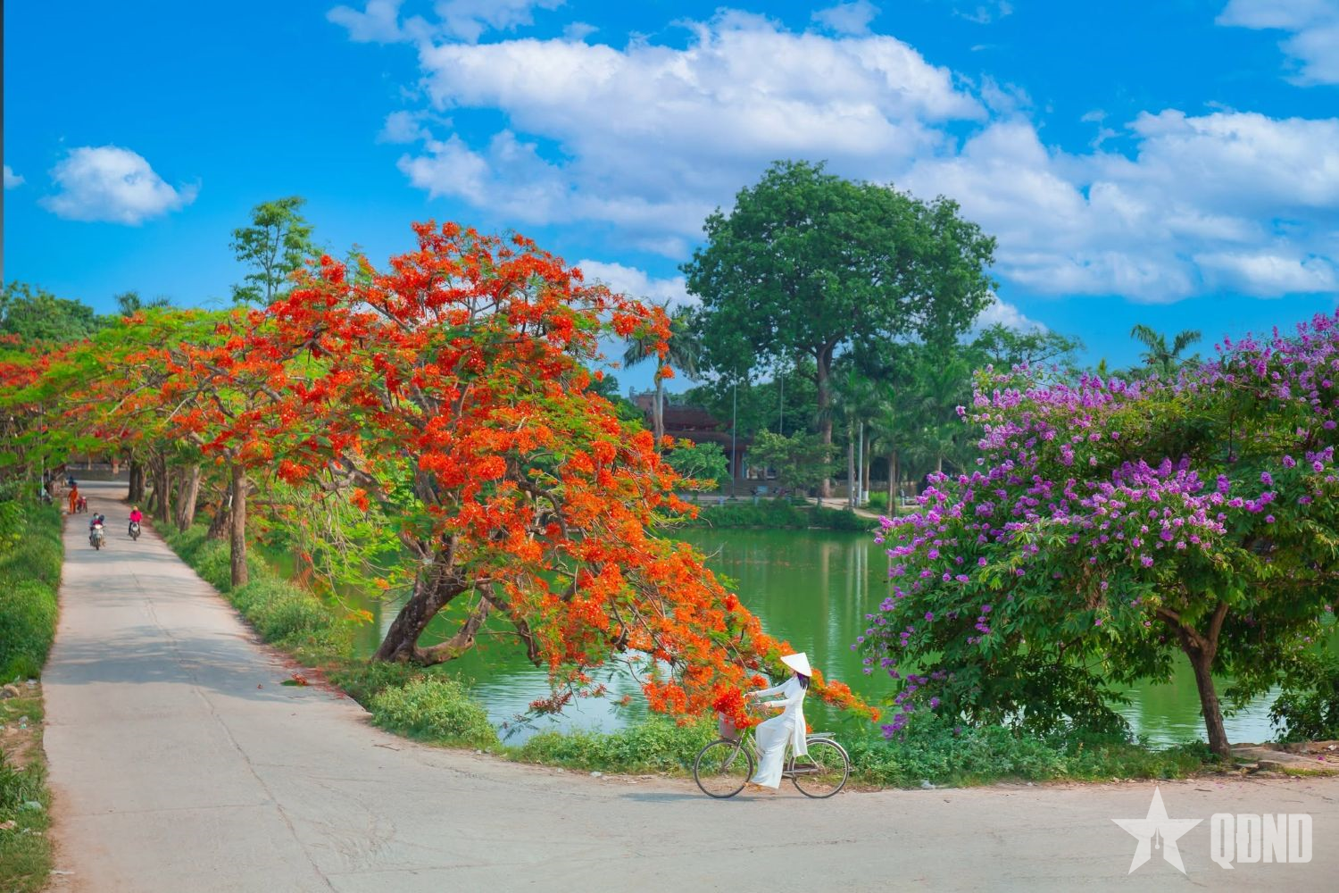 Rực rỡ mùa hạ
